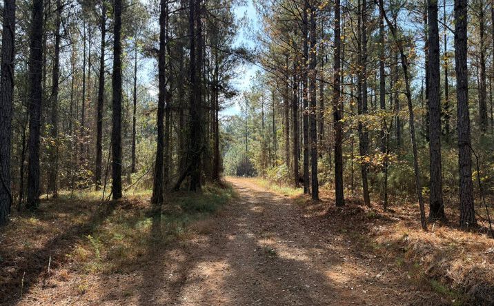 Pictures of Land property located at Youngblood Rd, Sparta, GA 31087 for sales - image #1