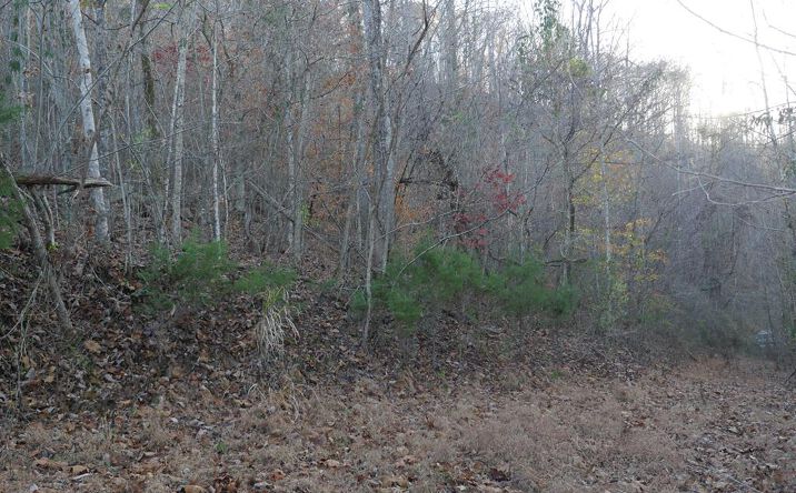 Pictures of Land, Multifamily property located at TBD Bristol Highway, Bristol, VA 24202 for sales - image #1
