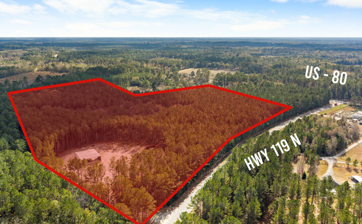Pictures of Land property located at 276 Hwy 119 N, Ellabell, GA 31308 for sales - image #1