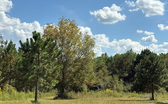 image of property at 376 WEST RD Poulan GA 31781