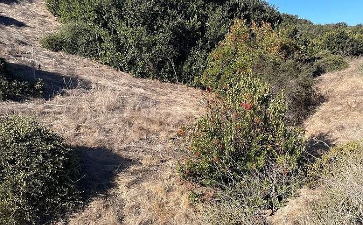 Pictures of Land property located at 0 South San Diego, San Diego, CA 92154 for sales - image #1