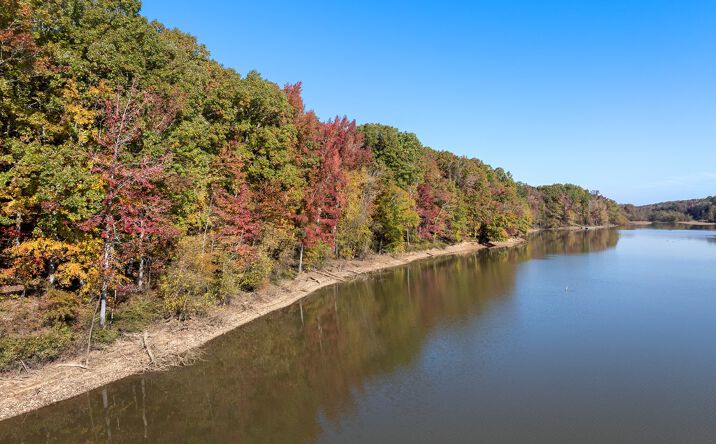 Pictures of Land property located at Skipwith Rd, Boydton, VA 23917 for sales - image #1