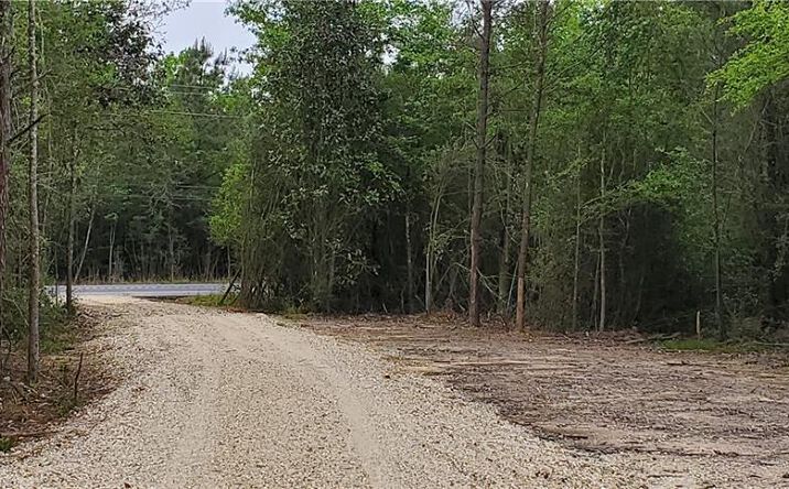 Pictures of Land property located at 77751 HWY 21 Highway, Bush, LA 70431 for sales - image #1