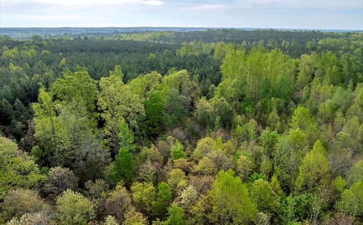 Pictures of Land property located at Liberty Rd, Nathalie, VA 24577 for sales - image #1