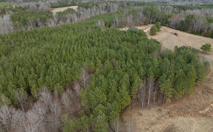 Pictures of Land property located at The Grove Road, Blackstone, VA 23824 for sales - image #1