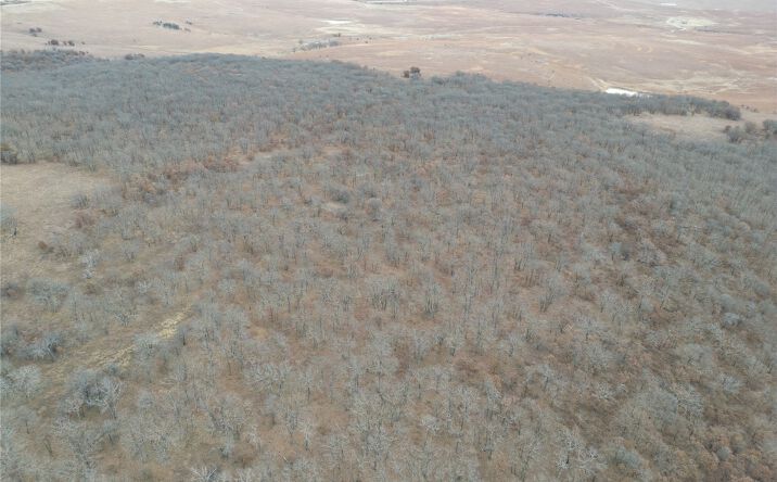 Pictures of Land property located at 4 County Road 2145, Bartlesville, OK 74003 for sales - image #1