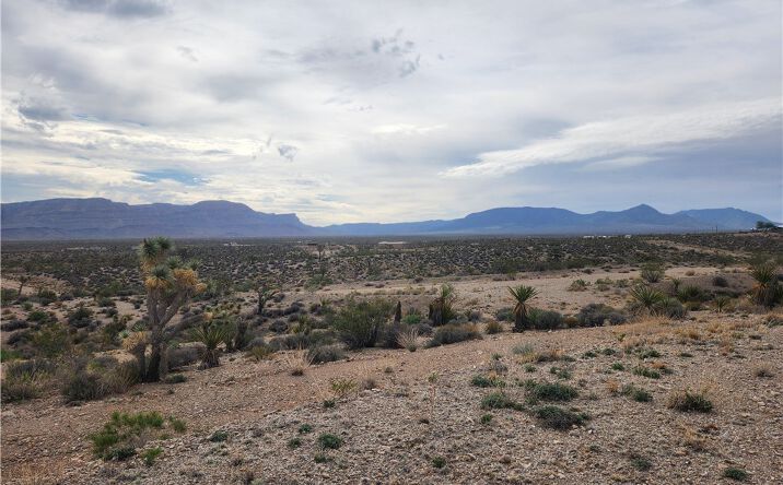Pictures of Land property located at 28351 N Mullane Dr, Meadview, AZ 86444 for sales - image #1