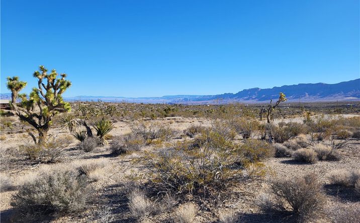 Pictures of Land property located at 28054 N Sandview Dr, Meadview, AZ 86444 for sales - image #1