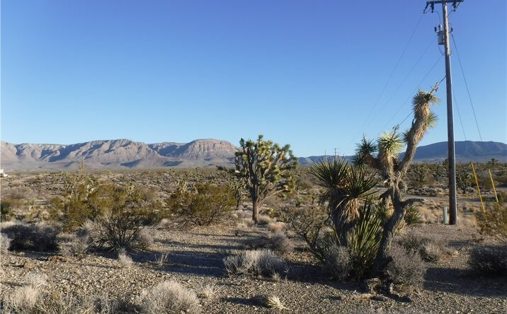 Pictures of Land property located at 28250 N Mullane Drive, Meadview, AZ 86444 for sales - image #1