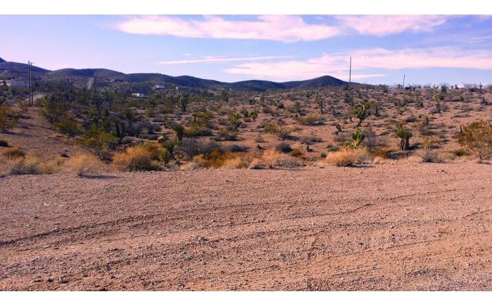 Pictures of Land property located at 28695 Pierce Ferry Rd, Meadview, AZ 86444 for sales - image #1