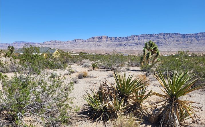 Pictures of Land property located at 340 Yates Dr, Meadview, AZ 86444 for sales - image #1