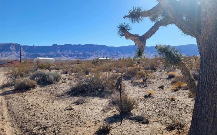 Pictures of Land property located at 800 N Bright Angel Dr, Meadview, AZ 86444 for sales - image #1