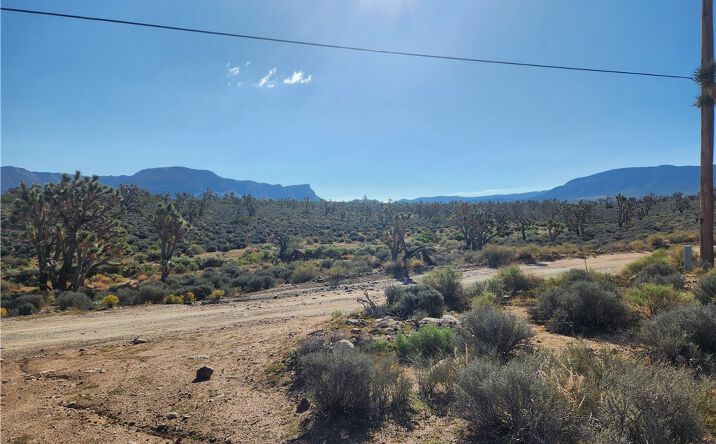 Pictures of Land property located at 27195 N Sandy Point Dr, Meadview, AZ 86444 for sales - image #1