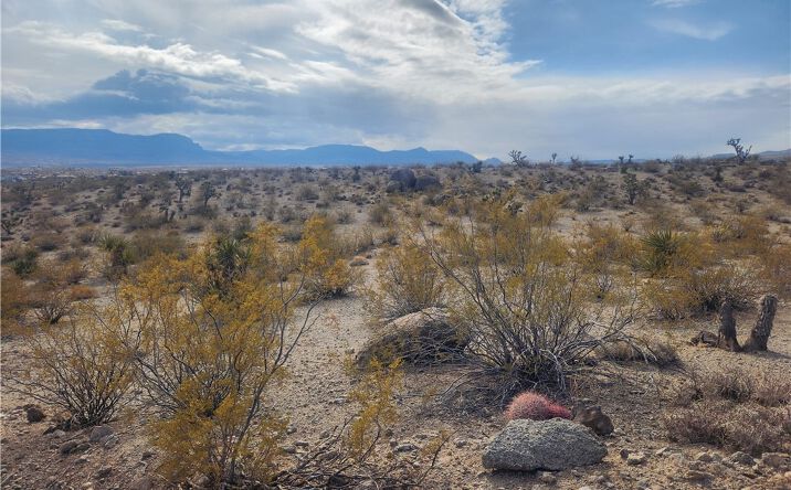 Pictures of Land property located at 1090 W Phantom Creek Dr, Meadview, AZ 86444 for sales - image #1
