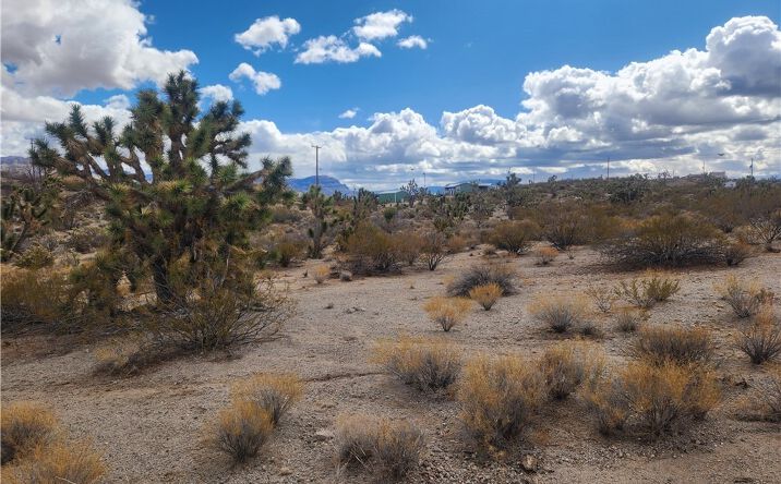 Pictures of Land property located at 900 W Grand Wash Dr, Meadview, AZ 86444 for sales - image #1