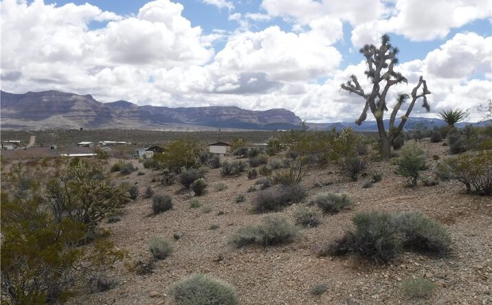Pictures of Land property located at 160 Dunn Dr, Meadview, AZ 86444 for sales - image #1