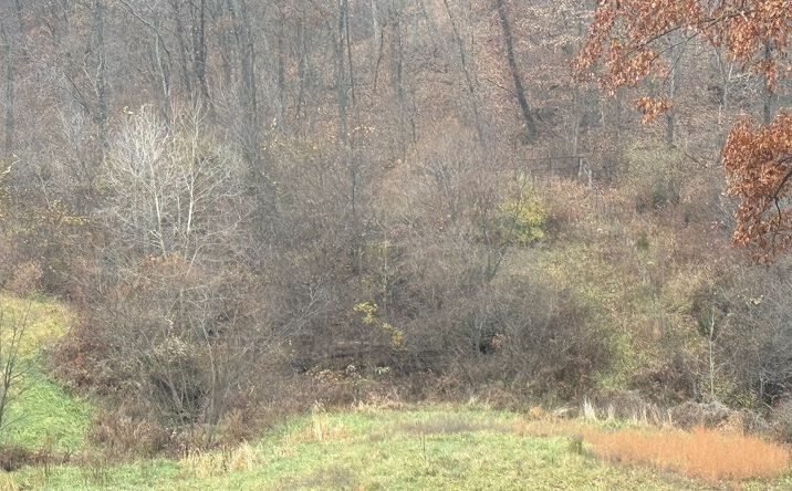 Pictures of Land property located at 22487 State Hwy K, Novinger, MO 63559 for sales - image #1