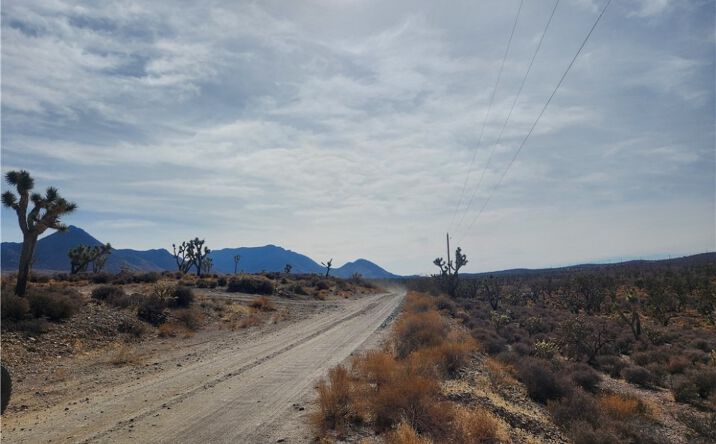 Pictures of Land property located at 0000 N Tamarisk & Rainbow, Meadview, AZ 86444 for sales - image #1