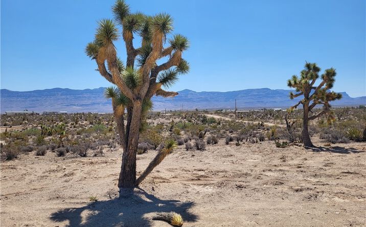 Pictures of Land property located at 1221 W Calico Drive, Meadview, AZ 86444 for sales - image #1