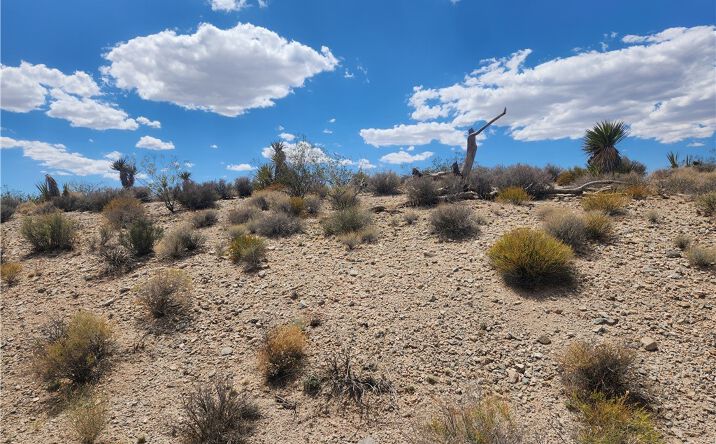 Pictures of Land property located at 27475 Driftwood Dr, Meadview, AZ 86444 for sales - image #1