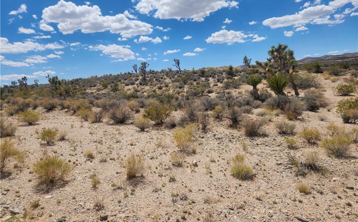 Pictures of Land property located at 27445 N Driftwood Dr, Meadview, AZ 86444 for sales - image #1