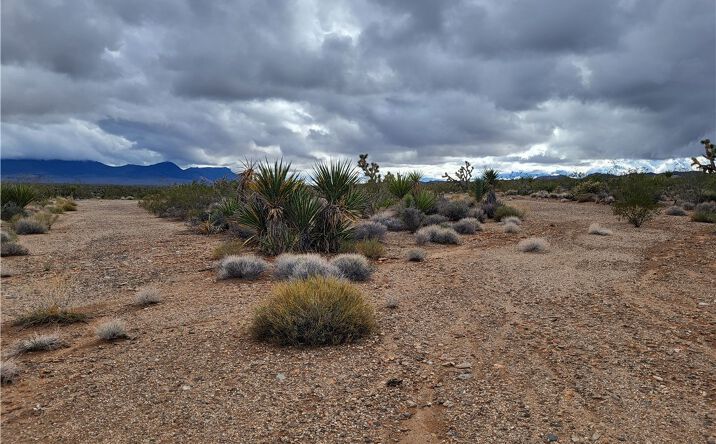 Pictures of Land property located at 0000 Campanile, Meadview, AZ 86444 for sales - image #1