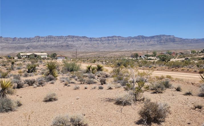 Pictures of Land property located at 1305 Dellenbaugh Dr, Meadview, AZ 86444 for sales - image #1