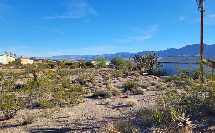 Pictures of Land property located at 10 Stanton Dr, Meadview, AZ 86444 for sales - image #1
