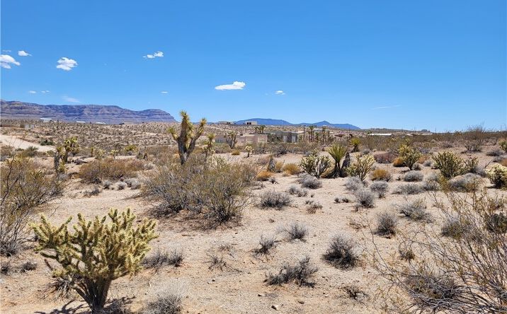 Pictures of Land property located at 720 E Vulcan Drive, Meadview, AZ 86444 for sales - image #1