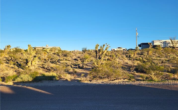 Pictures of Land property located at 29898 N Surf Spray Dr, Meadview, AZ 86444 for sales - image #1