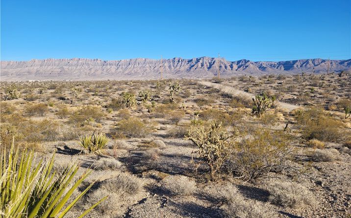 Pictures of Land property located at 1575 Redondo Cir, Meadview, AZ 86444 for sales - image #1