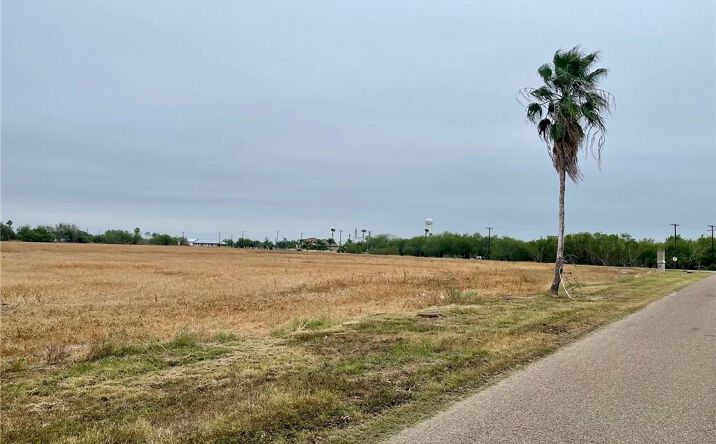 Pictures of Land property located at TBD S Mile 3 West Road W, Progreso Lakes, TX 78579 for sales - image #1
