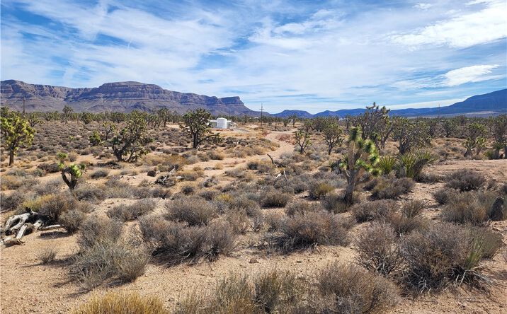 Pictures of Land property located at 27026 Pear Ave, Meadview, AZ 86444 for sales - image #1