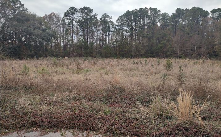 Pictures of Land property located at 50 Wise Court, Richmond Hill, GA 31324 for sales - image #1