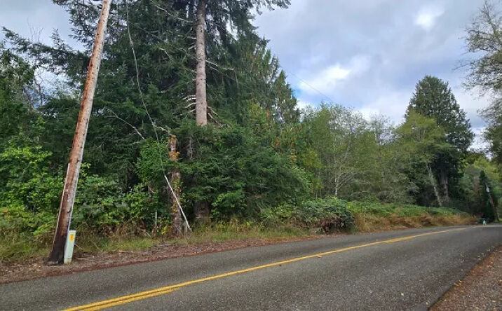Pictures of Land property located at 1351 Satsop Road W, Montesano, WA 98563 for sales - image #1