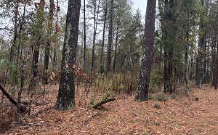 Pictures of Multifamily property located at 000 Gray Street, Edgefield, SC 29824 for sales - image #1