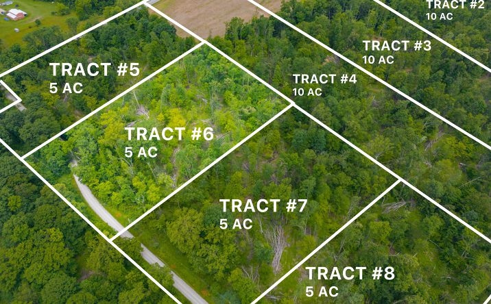 Pictures of Land property located at Tract 6 Hudson Hill Rd, Gosport, IN 47460 for sales - image #1