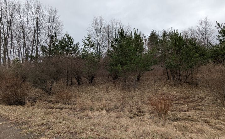 Pictures of Land property located at Lot# 8 - 0 Hutcheson Dr., Mansfield, PA 16933 for sales - image #1