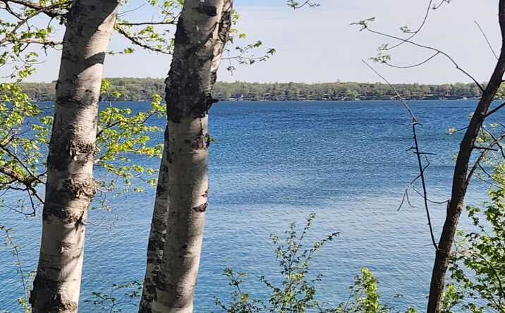 Pictures of Land property located at TBD Knollwood Lane, Pelican Rapids, MN 56572 for sales - image #1