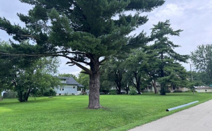 Pictures of Land property located at 412 E 4th St, Cameron, MO 64429 for sales - image #1