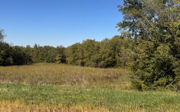 Pictures of Land property located at DD Blacktop, Pattonsburg, MO 64670 for sales - image #1