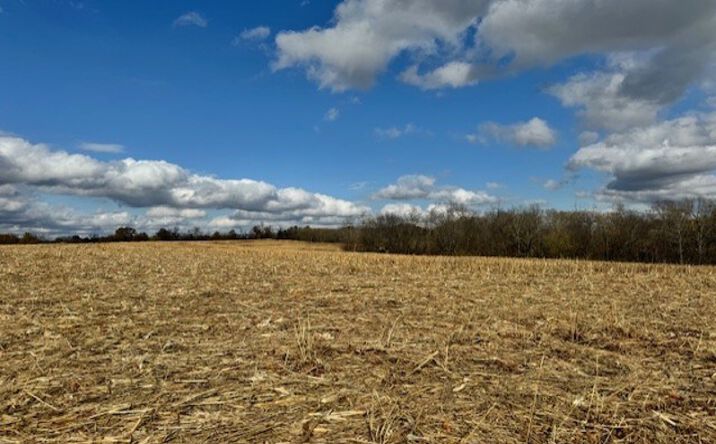 Pictures of Land property located at D Blacktop, Kidder, MO 64649 for sales - image #1