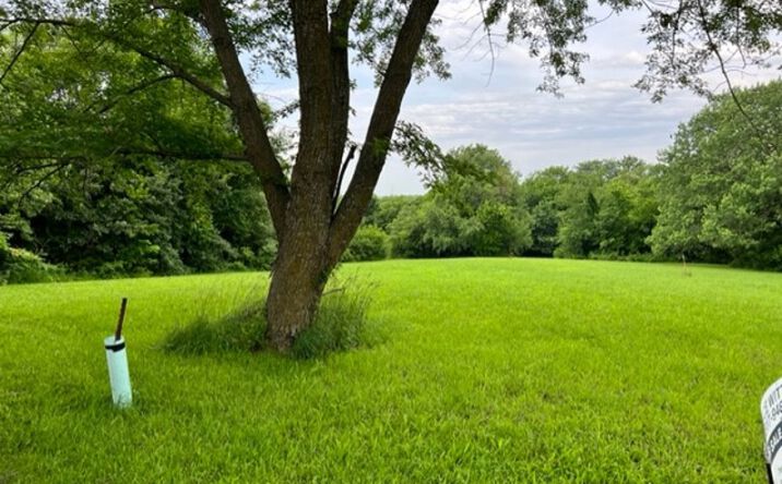 Pictures of Land property located at Lot 17 Maple Terrace, Maysville, MO 64469 for sales - image #1