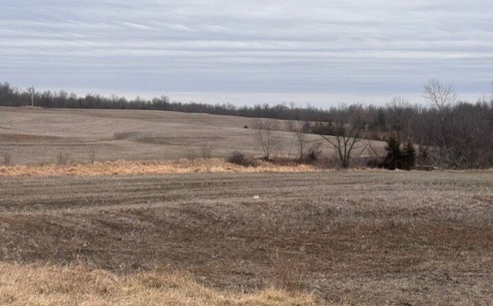 Pictures of Land property located at Hwy A, Fairport, MO 64469 for sales - image #1