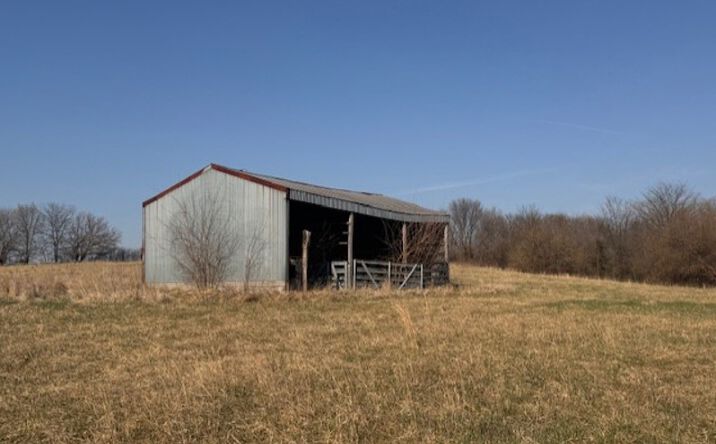 Pictures of Land property located at Forrest Road, Old Pattonsburg, MO 64670 for sales - image #1