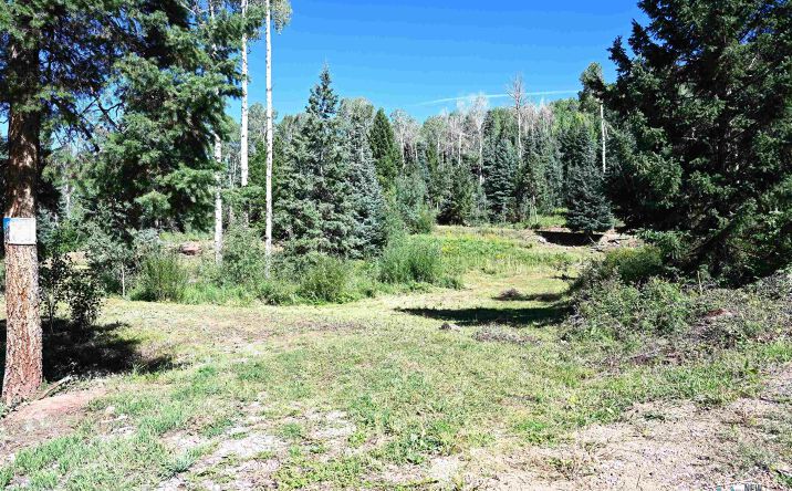 Pictures of Land property located at 3 Canyons End, Chama, NM 87520 for sales - image #1