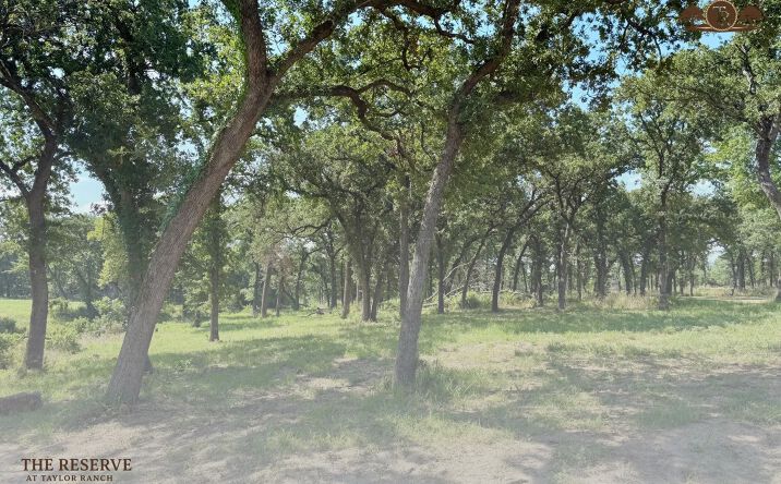 Pictures of Land property located at Lot 64 Camden Ln, Springtown, TX 76082 for sales - image #1