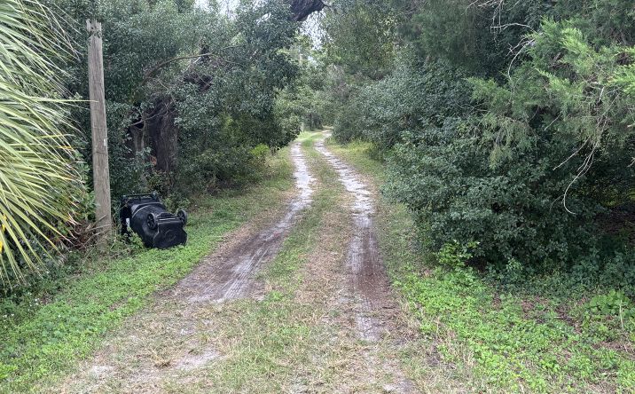 Pictures of Land property located at 3337-A Golden Gem Rd, Apopka, FL 32712 for sales - image #1