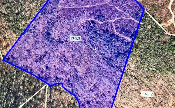 Pictures of Land, Special Purpose property located at Basham Branch Road, Jumping Branch, WV 25951 for sales - image #1
