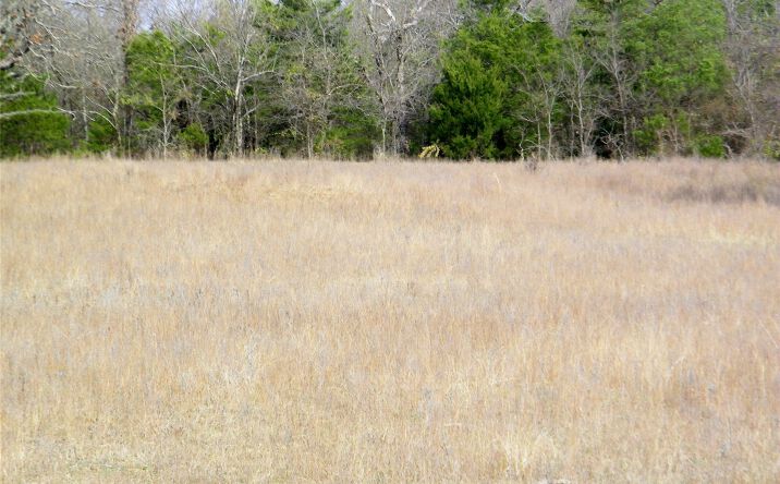 Pictures of Land property located at N 4070 Road, Eufaula, OK 74432 for sales - image #1